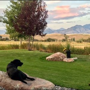 Meet your Posher, Connie